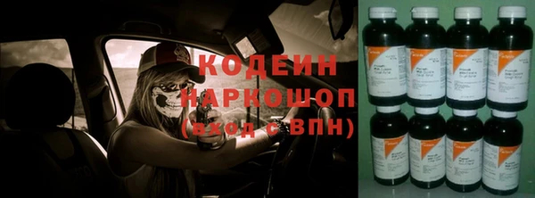 амф Осинники