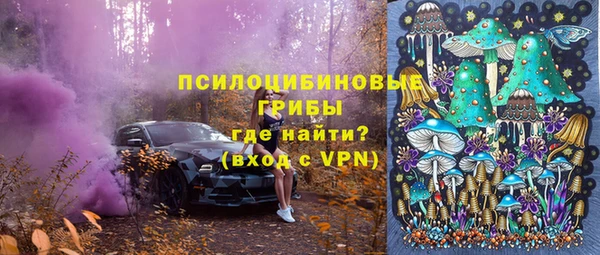 твердый Нягань