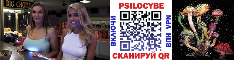 Псилоцибиновые грибы MAGIC MUSHROOMS  как найти закладки  Медынь 